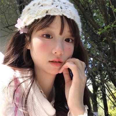 树袋熊